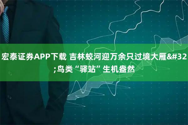 宏泰证券APP下载 吉林蛟河迎万余只过境大雁 鸟类“驿站”生机盎然