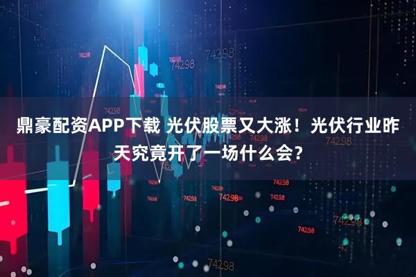 鼎豪配资APP下载 光伏股票又大涨！光伏行业昨天究竟开了一场什么会？